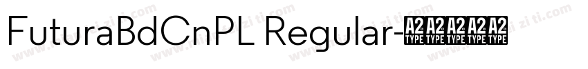 FuturaBdCnPL Regular字体转换